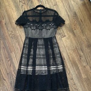 Elegant Black Lace Dress